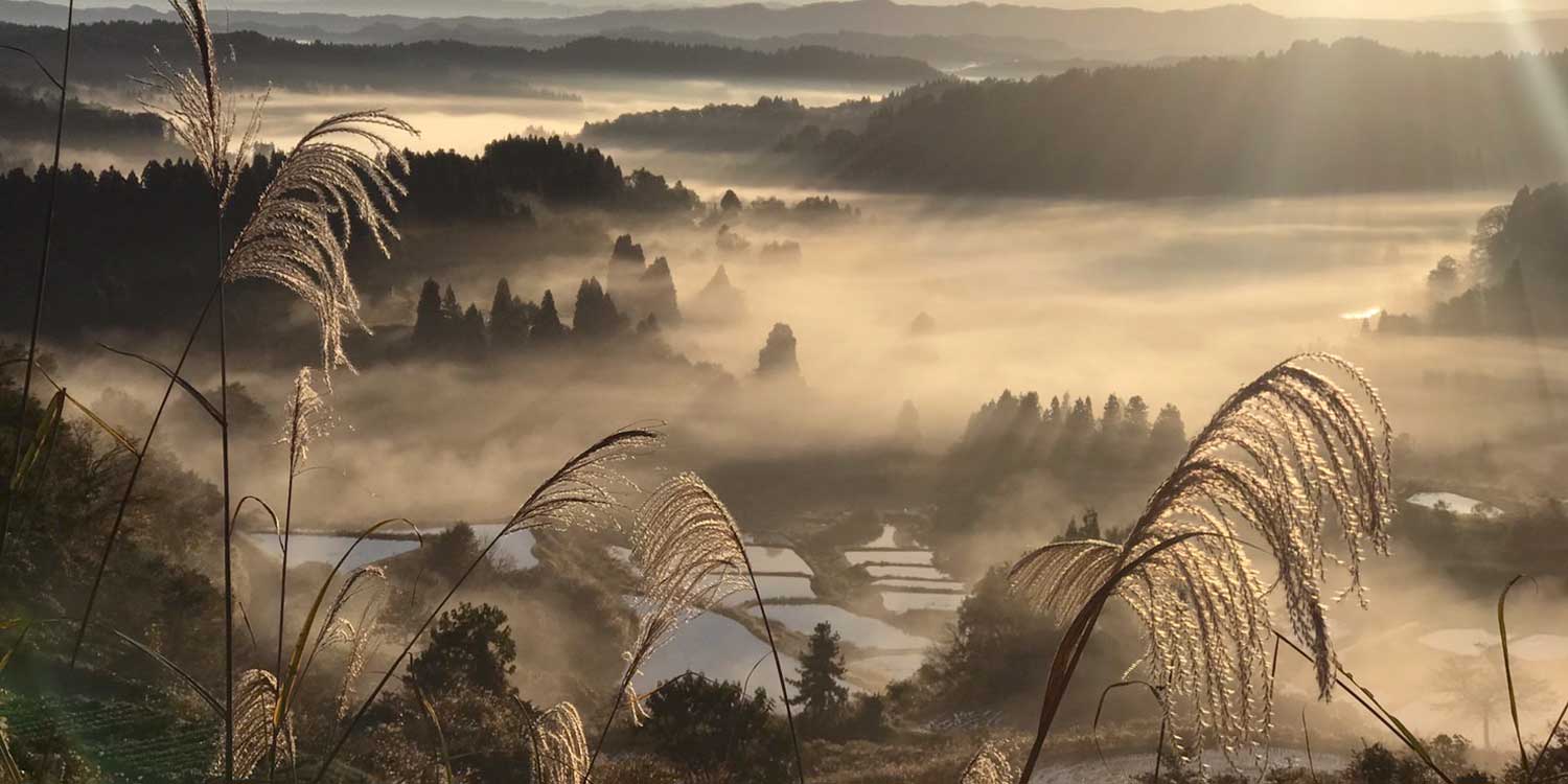 棚田と暮らす里山へ To Satoyama, living with rice terraces